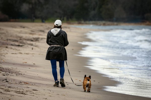 Hoe communiceren dieren tijdens het jagen in groepen?